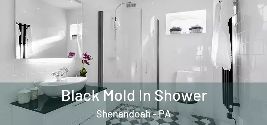  Black Mold In Shower Shenandoah - PA