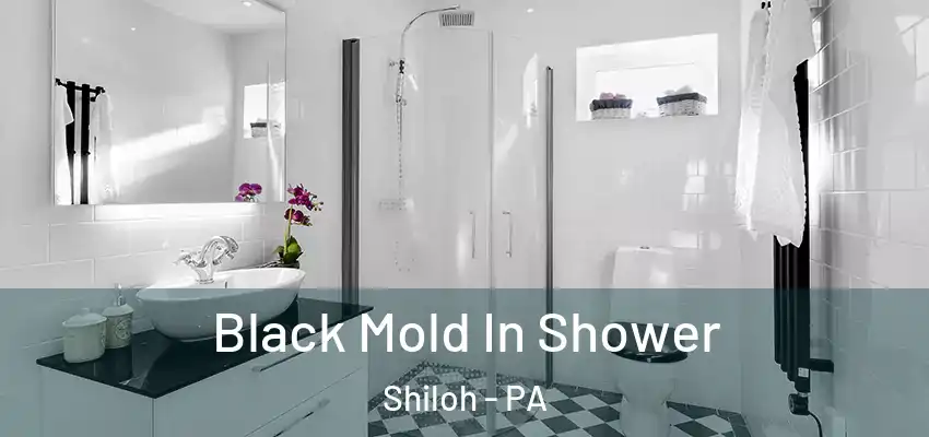  Black Mold In Shower Shiloh - PA