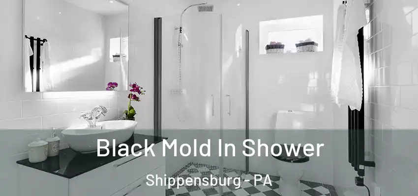  Black Mold In Shower Shippensburg - PA
