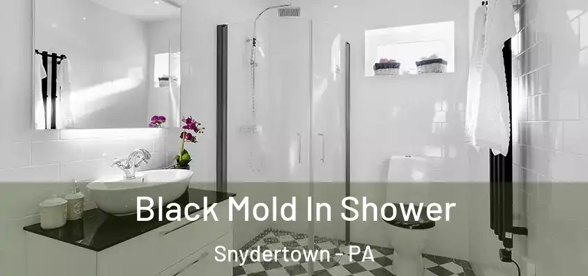  Black Mold In Shower Snydertown - PA