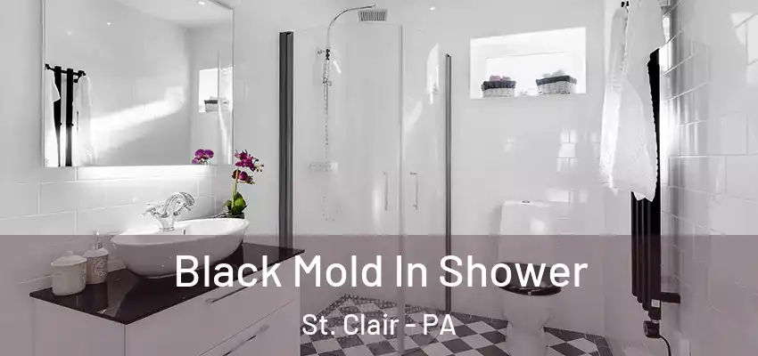 Black Mold In Shower St. Clair - PA