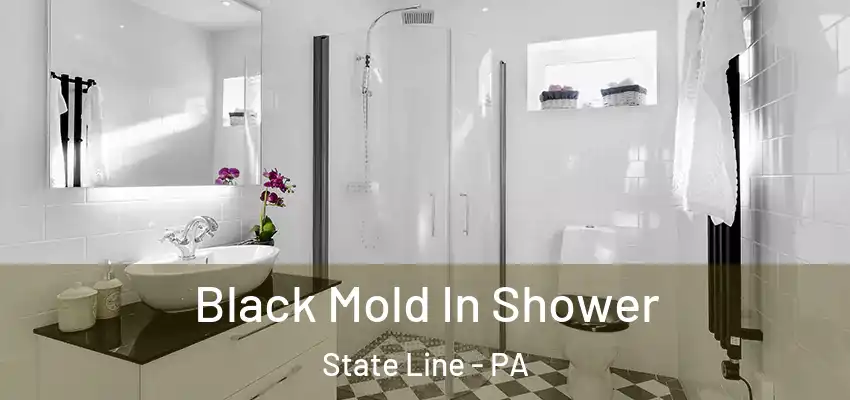Black Mold In Shower State Line - PA