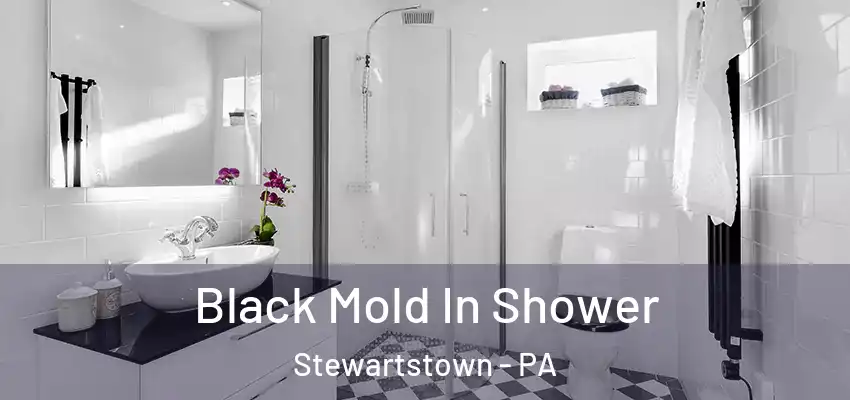 Black Mold In Shower Stewartstown - PA