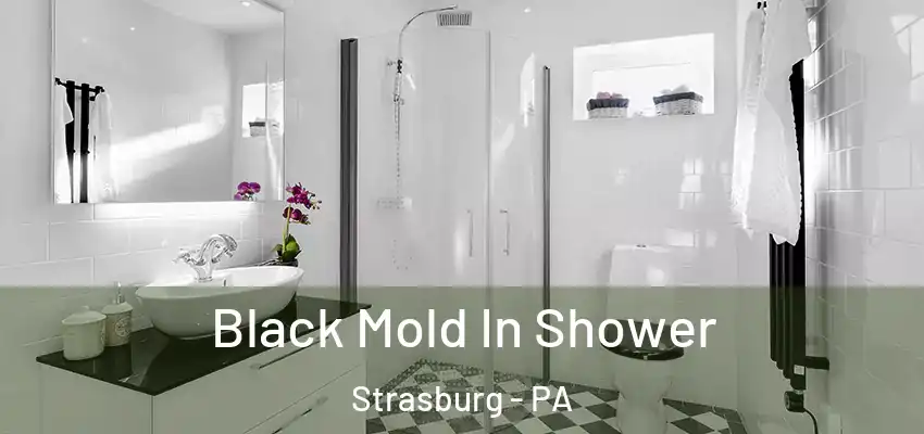Black Mold In Shower Strasburg - PA