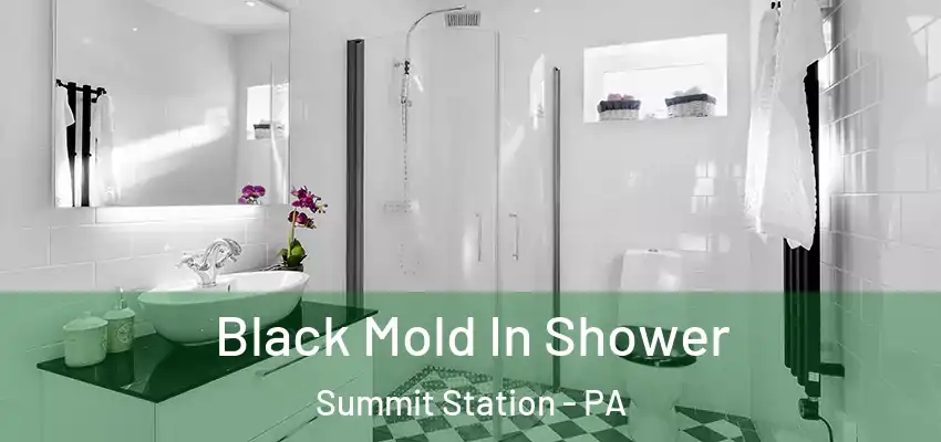  Black Mold In Shower Summit Station - PA