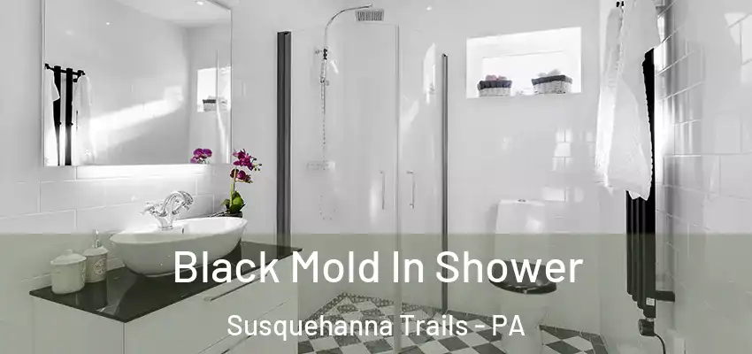  Black Mold In Shower Susquehanna Trails - PA