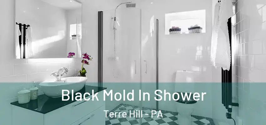  Black Mold In Shower Terre Hill - PA