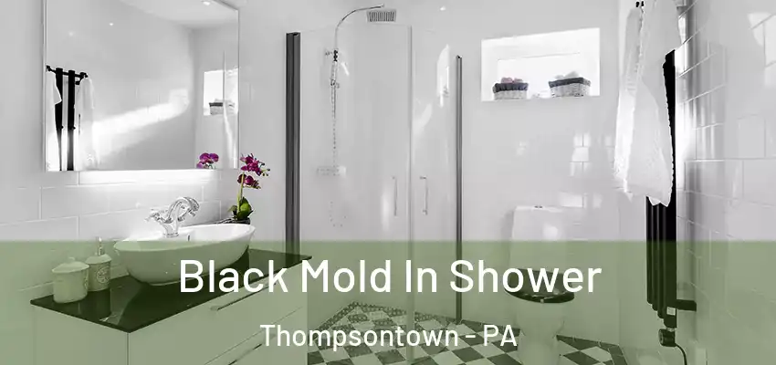 Black Mold In Shower Thompsontown - PA