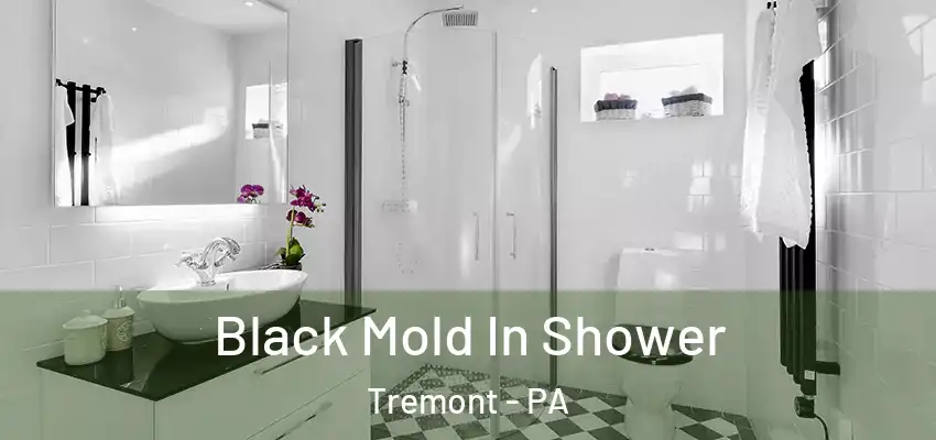 Black Mold In Shower Tremont - PA