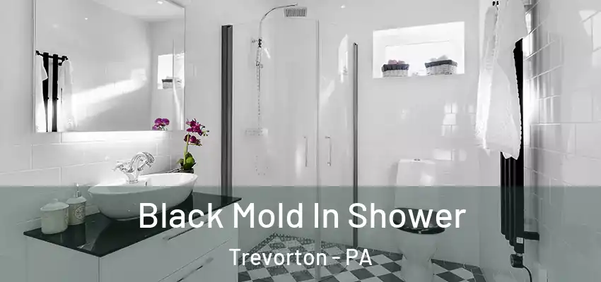  Black Mold In Shower Trevorton - PA