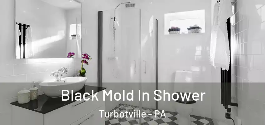 Black Mold In Shower Turbotville - PA