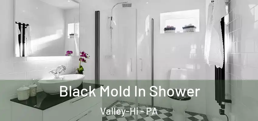 Black Mold In Shower Valley-Hi - PA