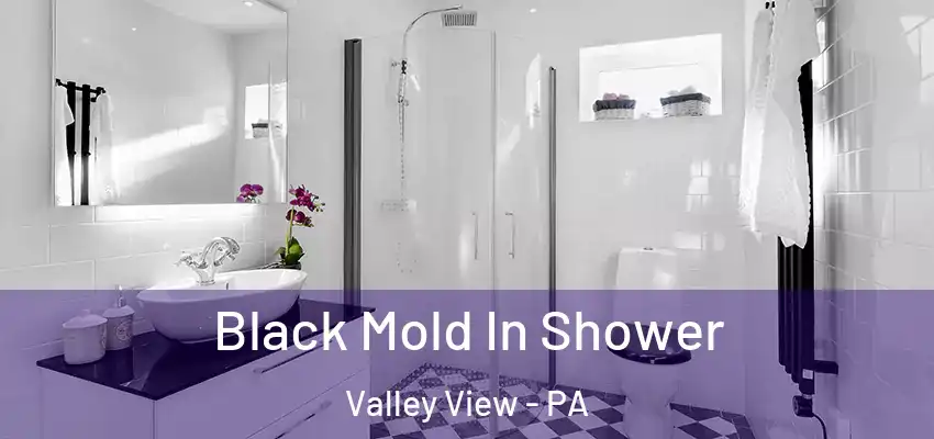  Black Mold In Shower Valley View - PA