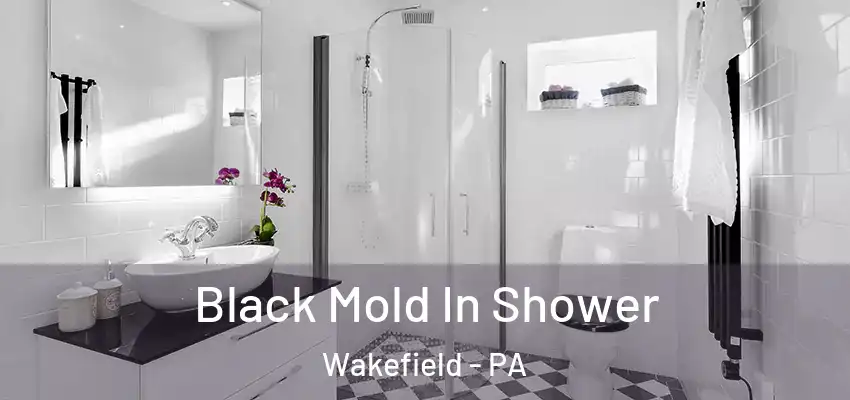  Black Mold In Shower Wakefield - PA