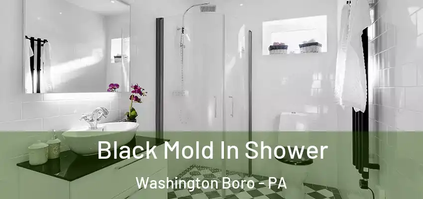 Black Mold In Shower Washington Boro - PA