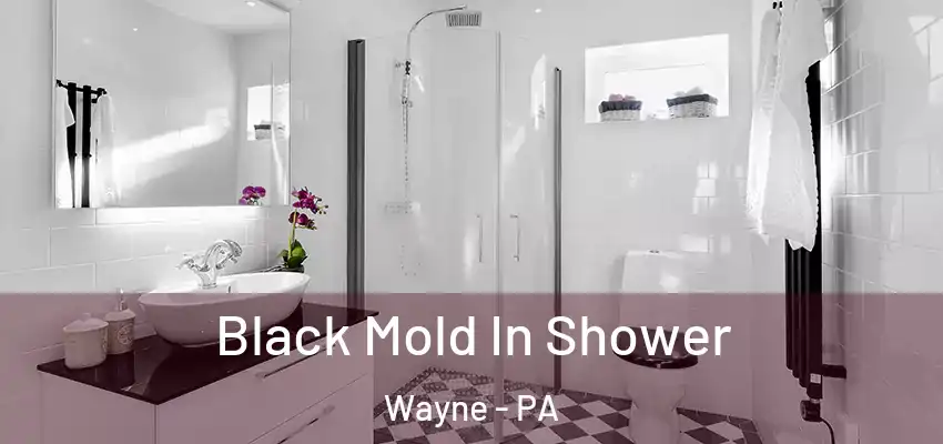  Black Mold In Shower Wayne - PA