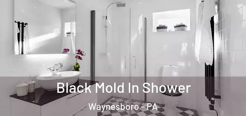  Black Mold In Shower Waynesboro - PA