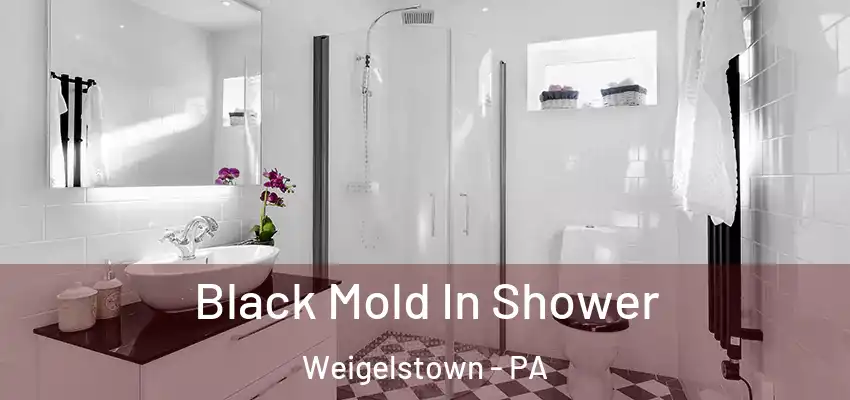  Black Mold In Shower Weigelstown - PA