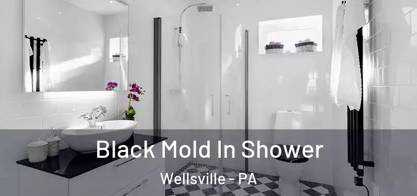  Black Mold In Shower Wellsville - PA