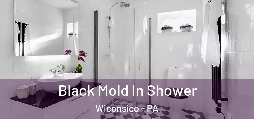  Black Mold In Shower Wiconsico - PA