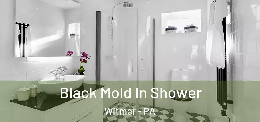 Black Mold In Shower Witmer - PA