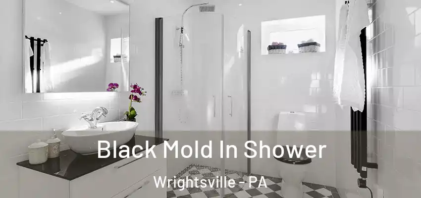  Black Mold In Shower Wrightsville - PA