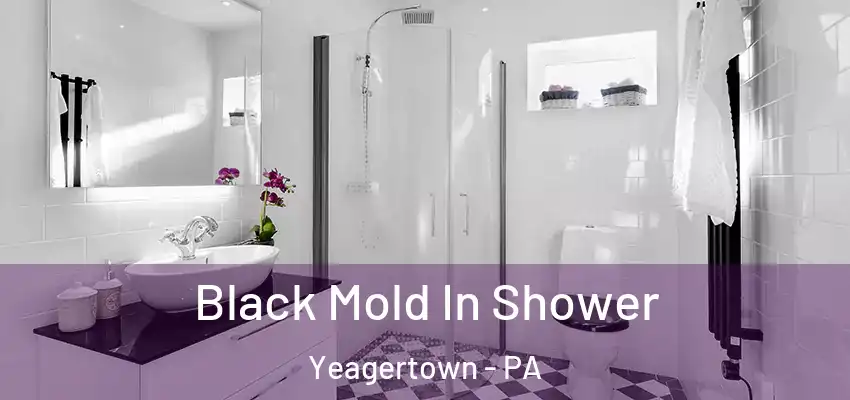 Black Mold In Shower Yeagertown - PA