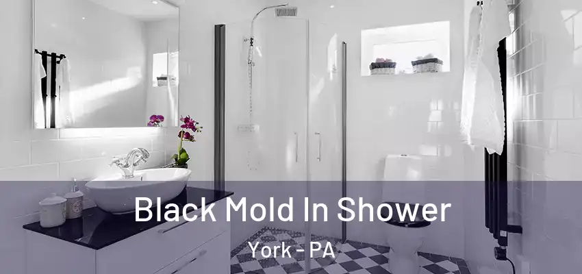  Black Mold In Shower York - PA