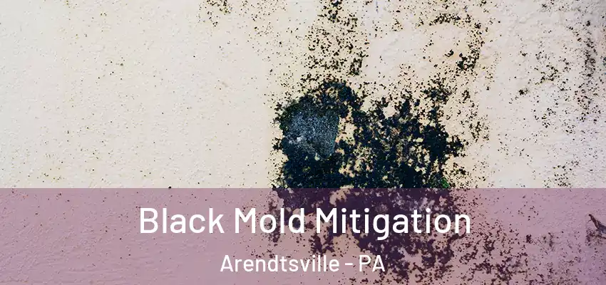  Black Mold Mitigation Arendtsville - PA