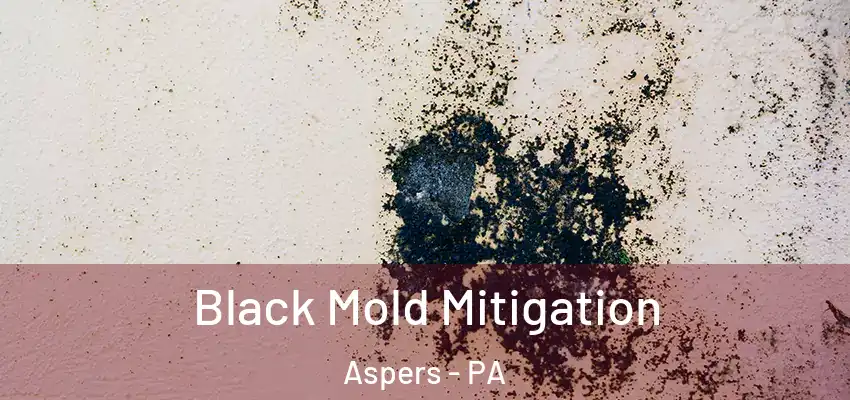  Black Mold Mitigation Aspers - PA