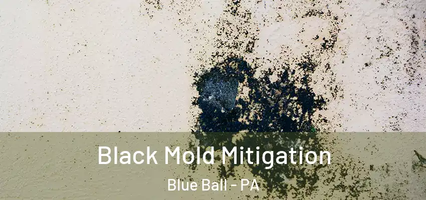 Black Mold Mitigation Blue Ball - PA