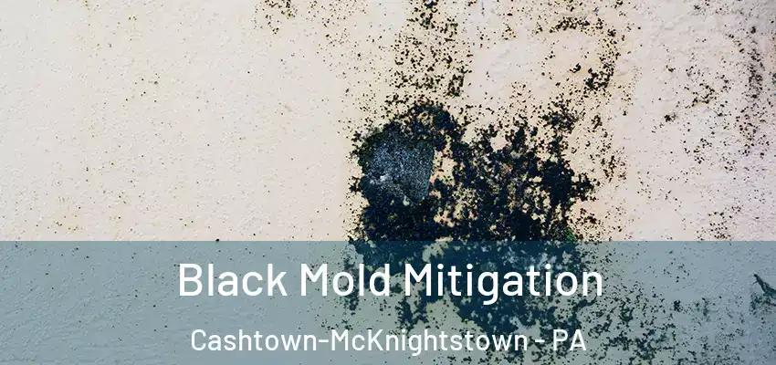  Black Mold Mitigation Cashtown-McKnightstown - PA
