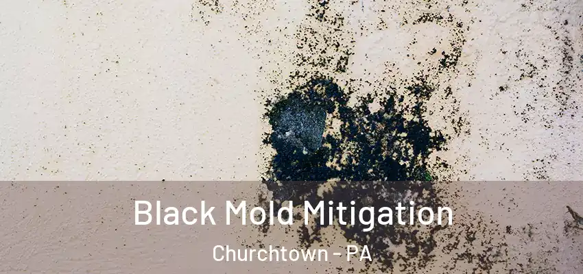  Black Mold Mitigation Churchtown - PA