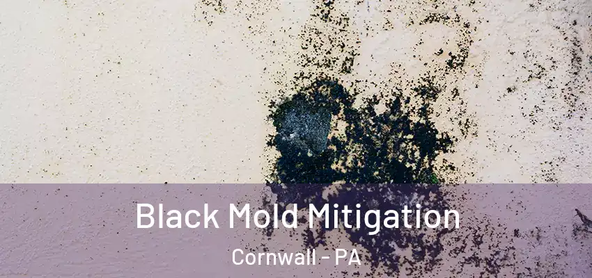  Black Mold Mitigation Cornwall - PA
