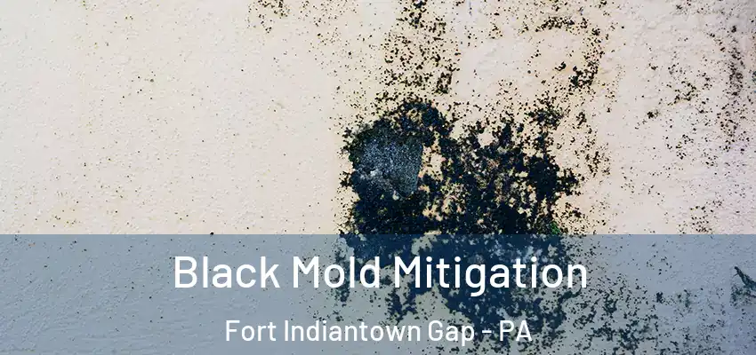  Black Mold Mitigation Fort Indiantown Gap - PA