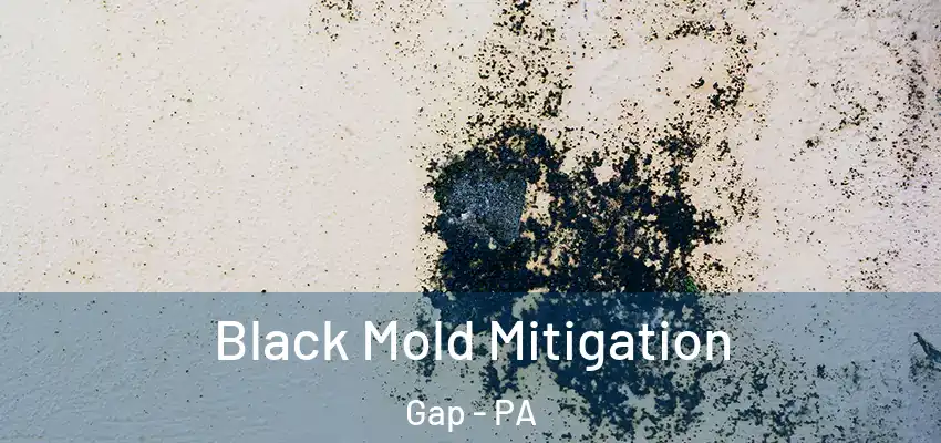 Black Mold Mitigation Gap - PA