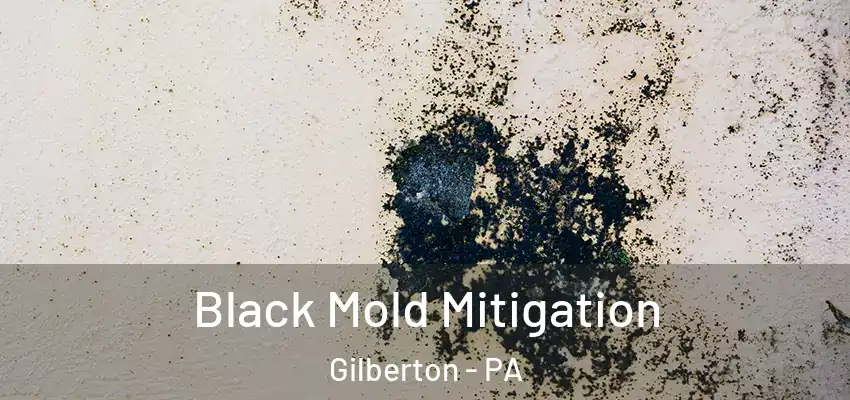 Black Mold Mitigation Gilberton - PA