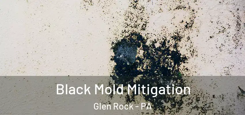 Black Mold Mitigation Glen Rock - PA