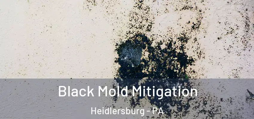  Black Mold Mitigation Heidlersburg - PA