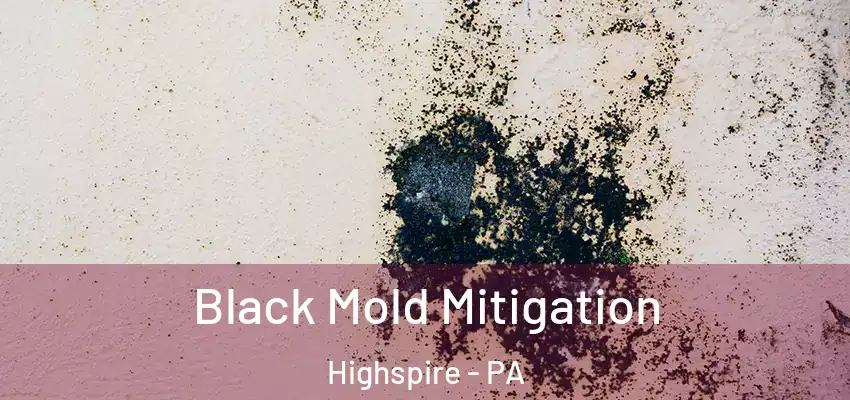  Black Mold Mitigation Highspire - PA