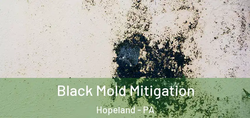 Black Mold Mitigation Hopeland - PA