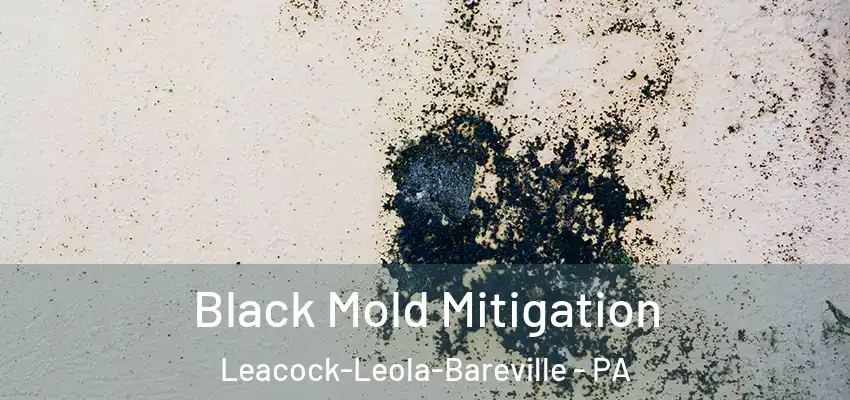  Black Mold Mitigation Leacock-Leola-Bareville - PA