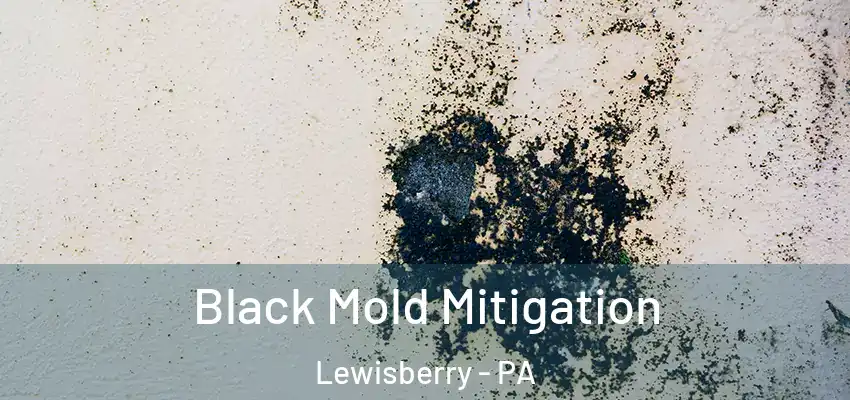 Black Mold Mitigation Lewisberry - PA