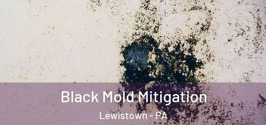 Black Mold Mitigation Lewistown - PA