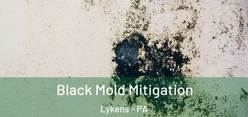 Black Mold Mitigation Lykens - PA