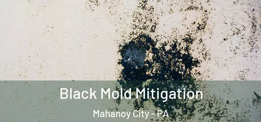 Black Mold Mitigation Mahanoy City - PA