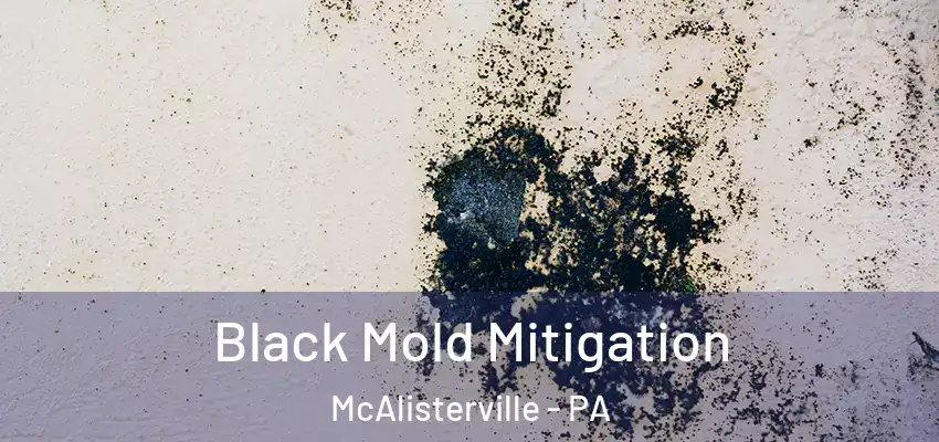 Black Mold Mitigation McAlisterville - PA