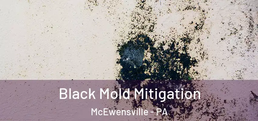  Black Mold Mitigation McEwensville - PA