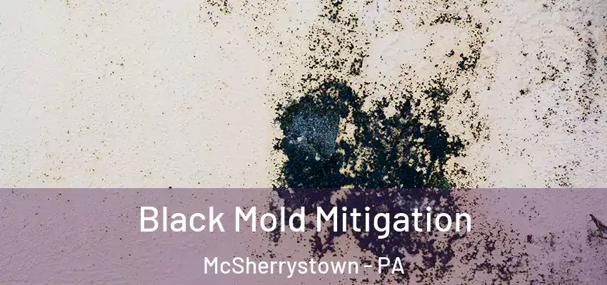  Black Mold Mitigation McSherrystown - PA