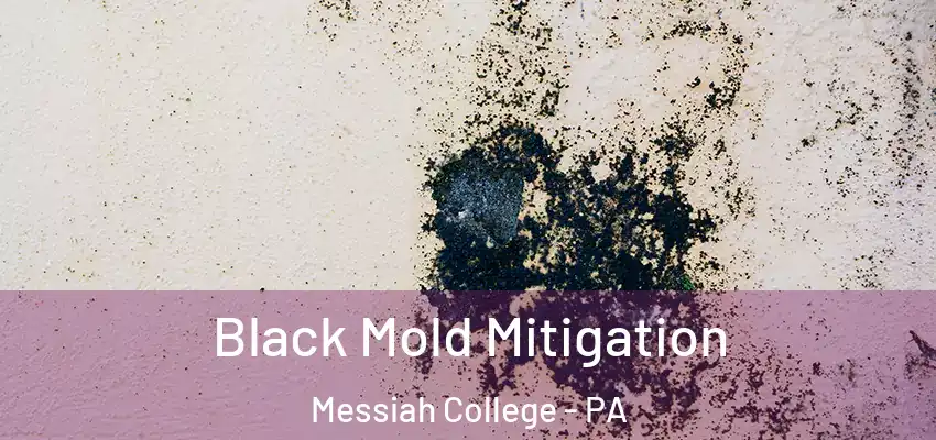 Black Mold Mitigation Messiah College - PA